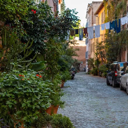 Noma Trastevere * Rom
